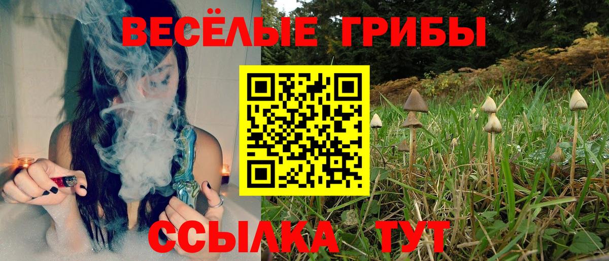 Галлюциногенные грибы мицелий Унеча