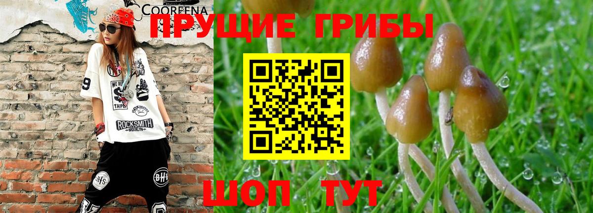 Галлюциногенные грибы Cubensis  Вход с VPN  Унеча  Псилоцибиновые грибы Magic Shrooms 